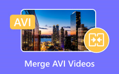 Merge AVI Videos