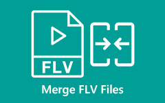 Yhdistä FLV-tiedostot