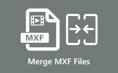 Fusionar archivos MXF