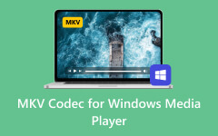 MKV Codec for Windows Media Player