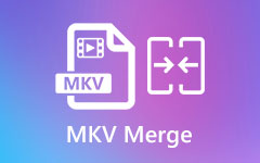Combinación MKV