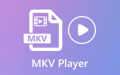 MKV-afspiller