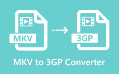 MKV لتحويل 3GP