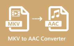 Конвертер MKV в AAC