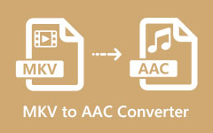 Convertisseur MKV en ACC