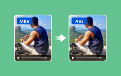 MKV naar AVI