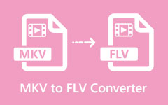 MKV لتحويل FLV