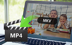 MKV para MP4