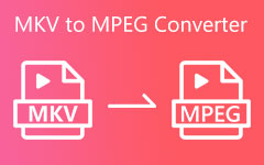MKV لتحويل MPEG