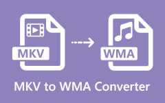 Convertidor MKV a WMA