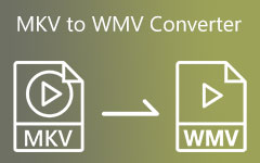 MKV-WMV konverter