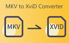 MKV til XVID konverter