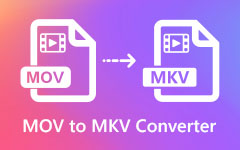 MOV'den MKV'ye Dönüştürücü