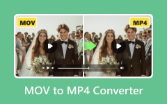 Convertitore MOV in MP4