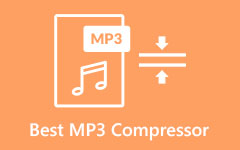Nejlepší MP3 kompresor