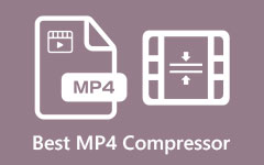 Compresseur Mp4