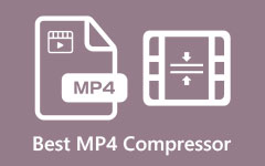 Examen des meilleurs compresseurs MP4