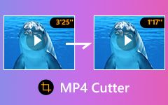 MP4 kutter