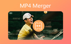 MP4 Merger