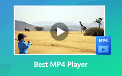 MP4 Player pro Windows a Mac