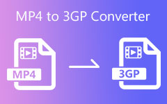 MP4 til 3GP konverter