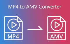 MP4 to AMV konverter