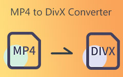 MP4 naar DIVX-converter