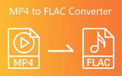 Convertisseur MP4 en FLAC