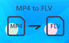 MP4 إلى FLV