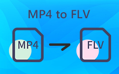 MP4 til FLV