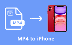 MP4 إلى iPhone