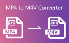 MP4 to M4V konverter