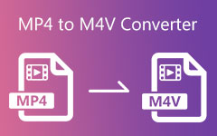 MP4 till M4V Converter