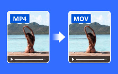 MP4 to MOV Converter
