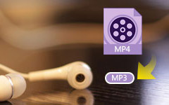 MP4 إلى MP3
