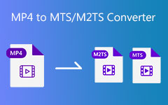 Convertisseur MP4 vers MTS M2TS