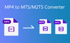 Conversor de MP4 para MTS M2TS