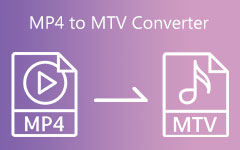 MP4 til MTV Converter