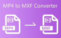 MP4 لتحويل MXF