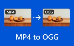 MP4 à OGG