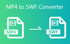 MP4 til SWF Converter