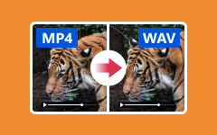 MP4 σε WAV