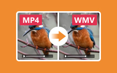 MP4 ja WMV Converter