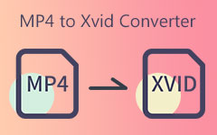 MP4 til XVID konverter