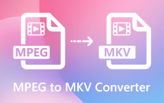 MPEG til MKV konverter
