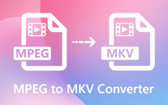 Convertitore da MPEG a MKV