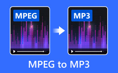 MPEG naar MP3