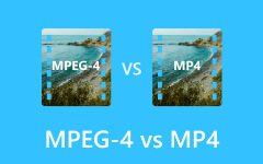 MPEG4 vs MP4