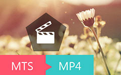 MTS / M2TS videoer til MP4
