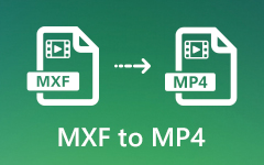 MXF naar MP4